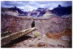 Lord of the Canyon
