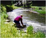 Panning for Gold